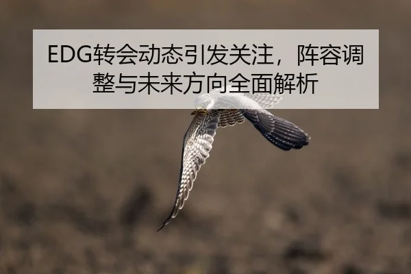 EDG转会动态引发关注，阵容调整与未来方向全面解析