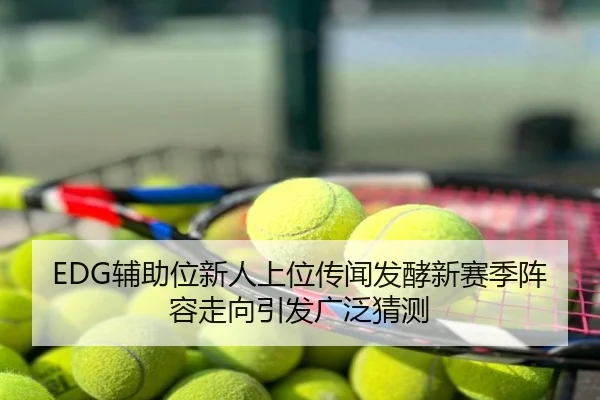 EDG辅助位新人上位传闻发酵新赛季阵容走向引发广泛猜测