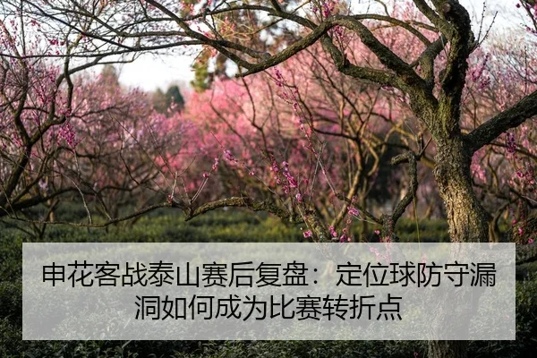 申花客战泰山赛后复盘：定位球防守漏洞如何成为比赛转折点